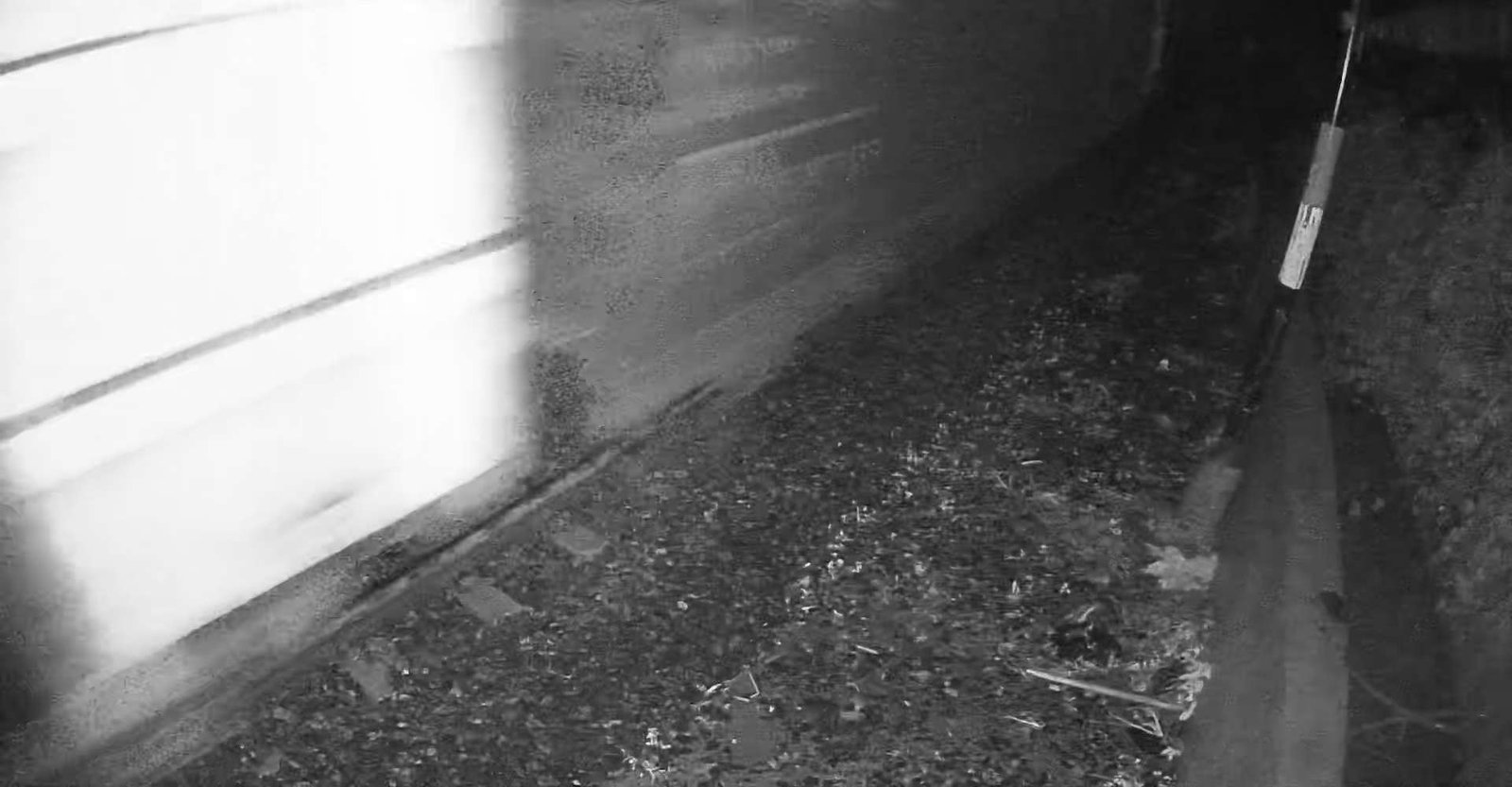 2026-05-21 19:33:33.jpg